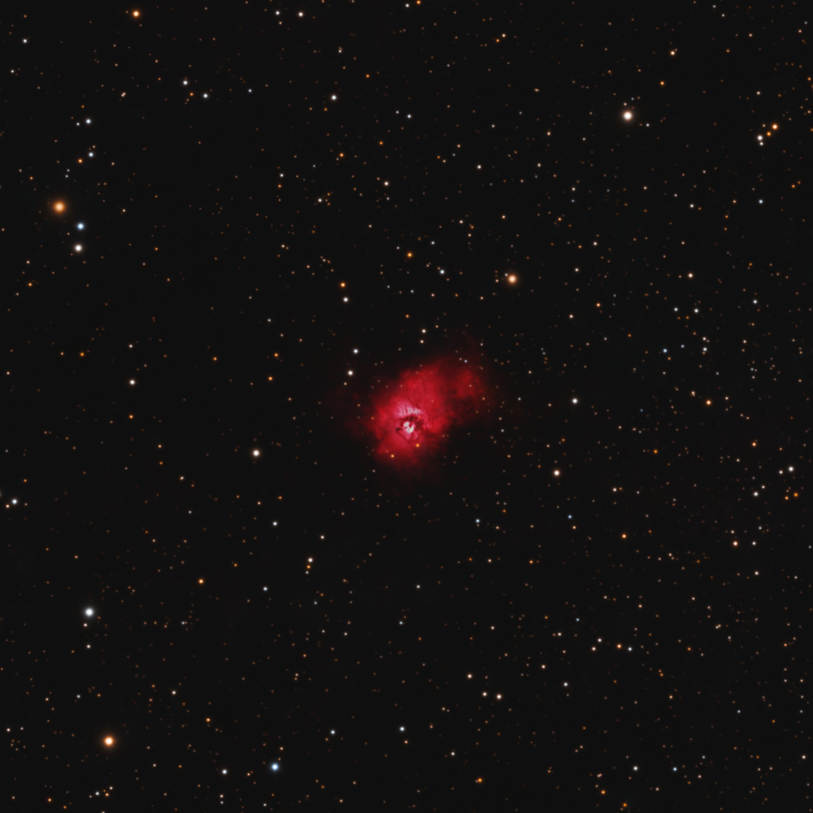 Sh2-146